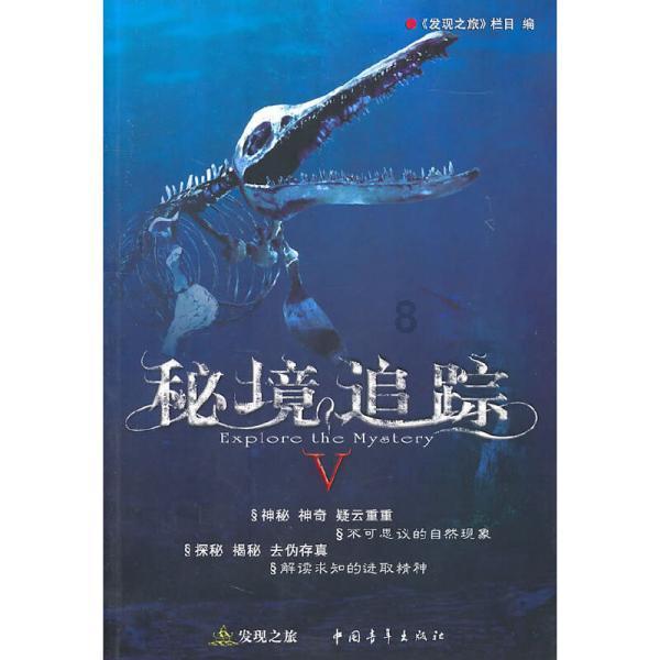 巫师2：刺客之王